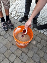 jungstag_20180611_160859 jungstag_20180611_160859