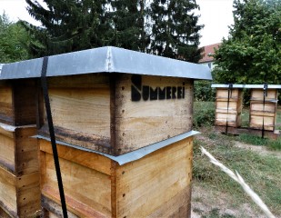 ausfluege_p1090988